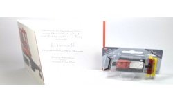 Branth-Chemie 2017 Kässbohrer PistenBully 600