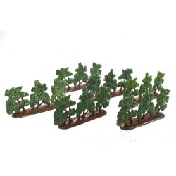 Row of bushes