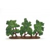 Row of bushes