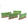Hedge