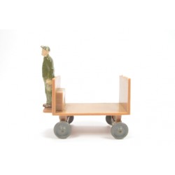 Man on electrical cart