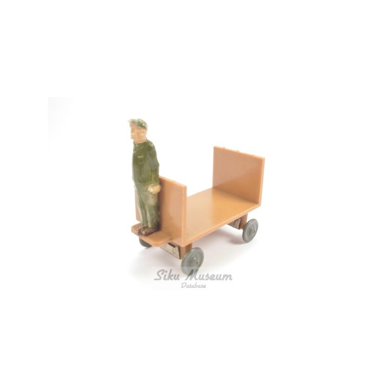 Man on electrical cart