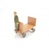 Man on electrical cart