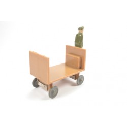 Man on electrical cart