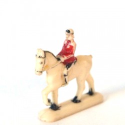 Pferd mit Reiter