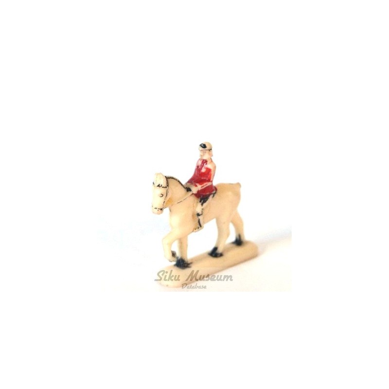 Paard met amazone