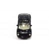 Volkswagen New Beetle Gerard en Coby