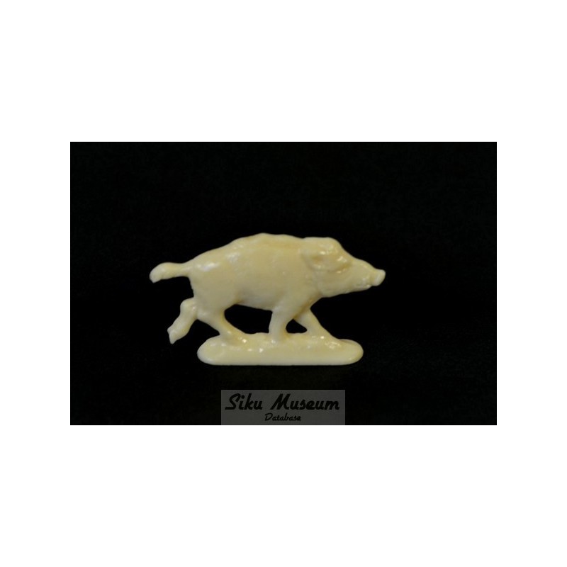 Wild boar