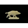 Wild boar