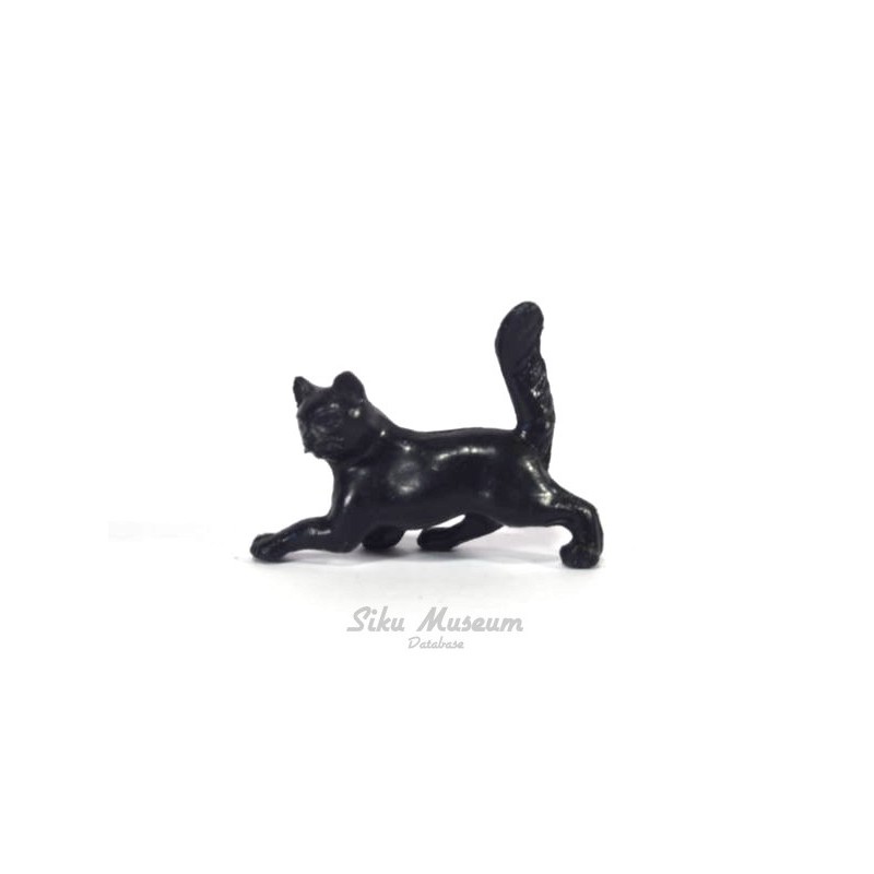 Zwarte kat